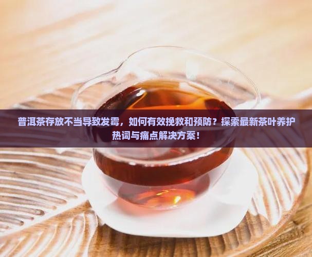普洱茶存放不当导致发霉，如何有效挽救和预防？探索最新茶叶养护热词与痛点解决方案！