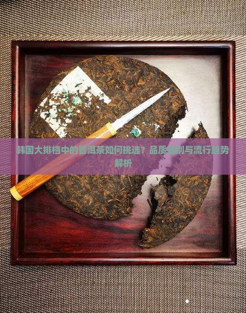 韩国大排档中的普洱茶如何挑选？品质鉴别与流行趋势解析