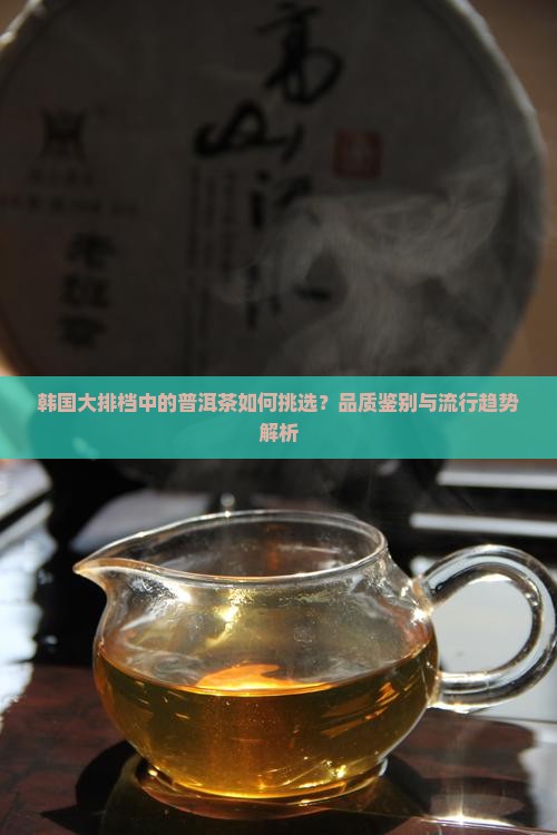 韩国大排档中的普洱茶如何挑选？品质鉴别与流行趋势解析