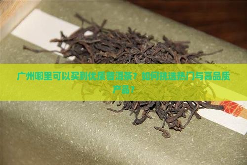 广州哪里可以买到优质普洱茶？如何挑选热门与高品质产品？