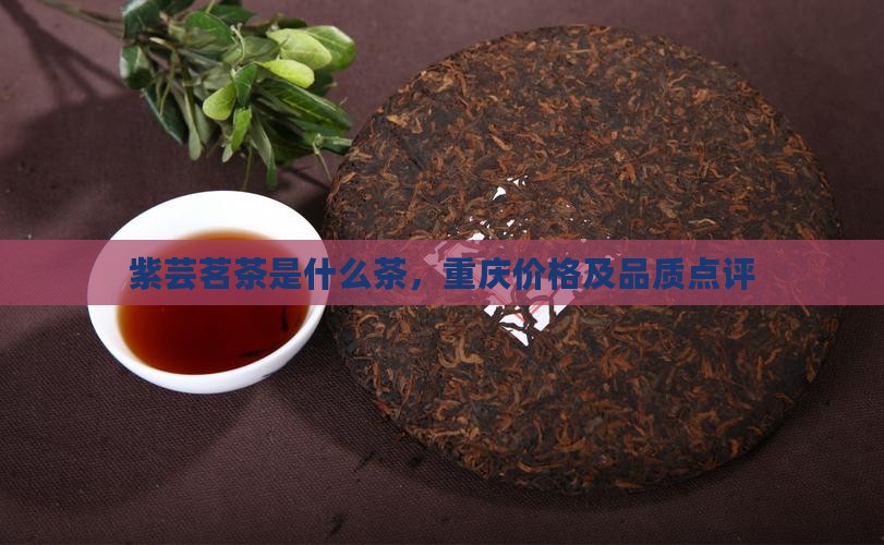 紫芸茗茶是什么茶，重庆价格及品质点评