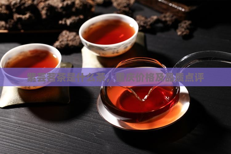 紫芸茗茶是什么茶，重庆价格及品质点评