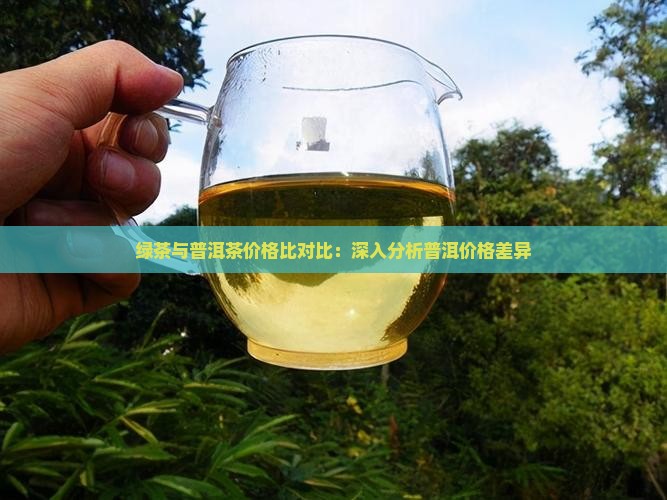 绿茶与普洱茶价格比对比：深入分析普洱价格差异