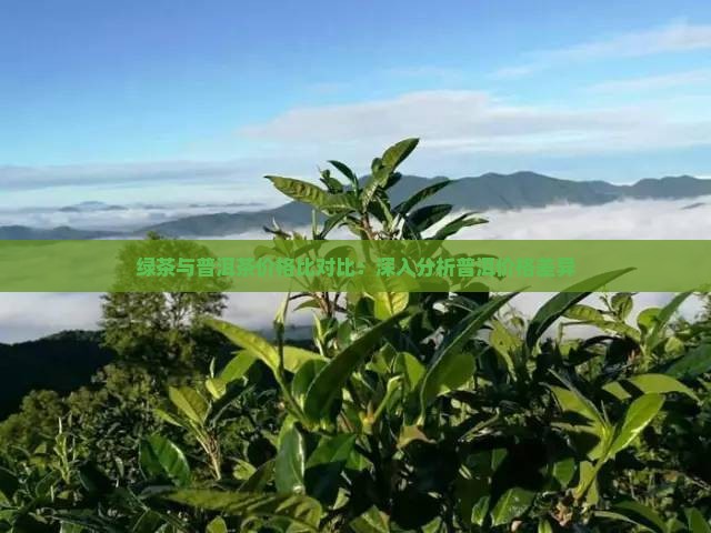 绿茶与普洱茶价格比对比：深入分析普洱价格差异