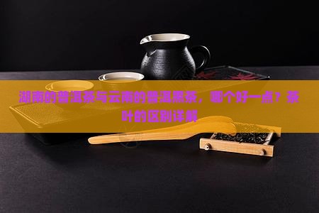 湖南的普洱茶与云南的普洱黑茶，哪个好一点？茶叶的区别详解