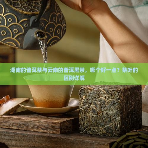 湖南的普洱茶与云南的普洱黑茶，哪个好一点？茶叶的区别详解