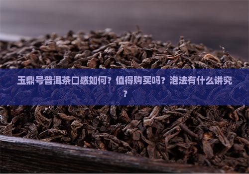 玉鼎号普洱茶口感如何？值得购买吗？泡法有什么讲究？