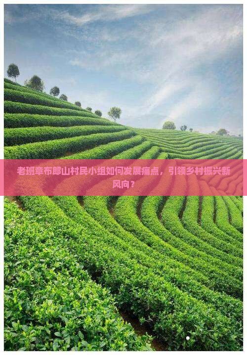 老班章布郎山村民小组如何发展痛点，引领乡村振兴新风向？