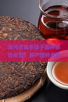 漳河青龙茶属于哪种茶叶类型？其产地特点及品饮特性有哪些？