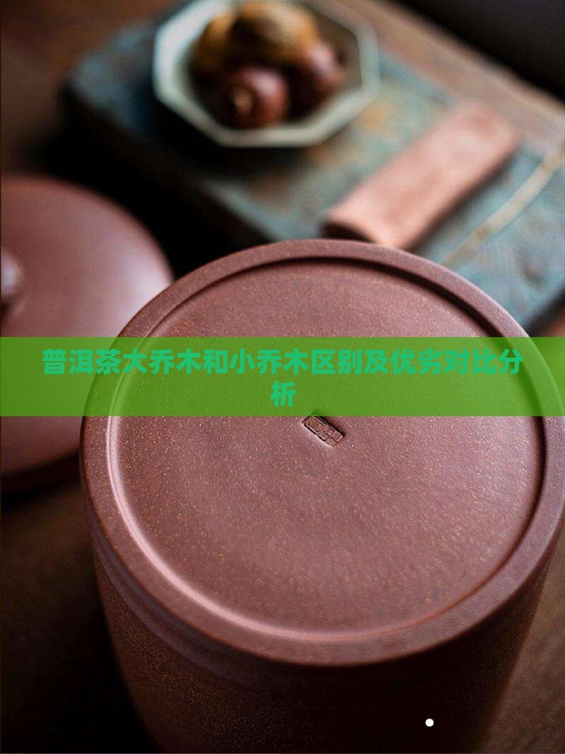 普洱茶大乔木和小乔木区别及优劣对比分析