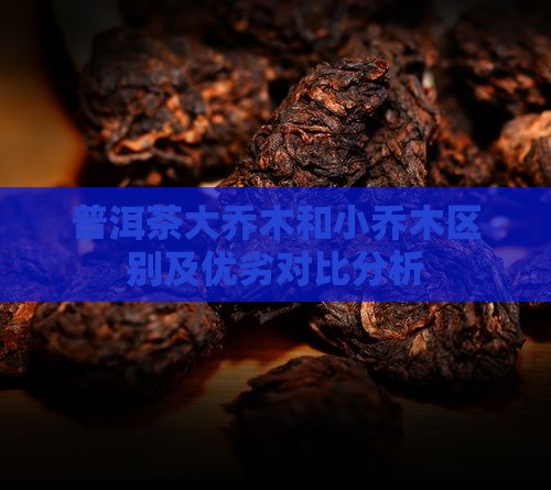 普洱茶大乔木和小乔木区别及优劣对比分析
