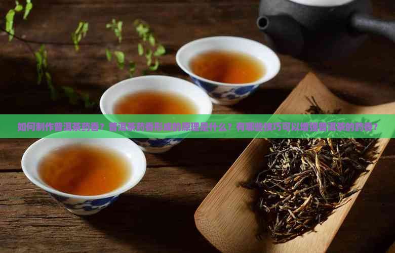 如何制作普洱茶药香？普洱茶药香形成的原理是什么？有哪些技巧可以增强普洱茶的药香？
