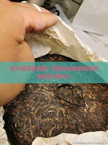 帕卡普洱茶直播？熬夜党必备的植物黄金你还没喝过？