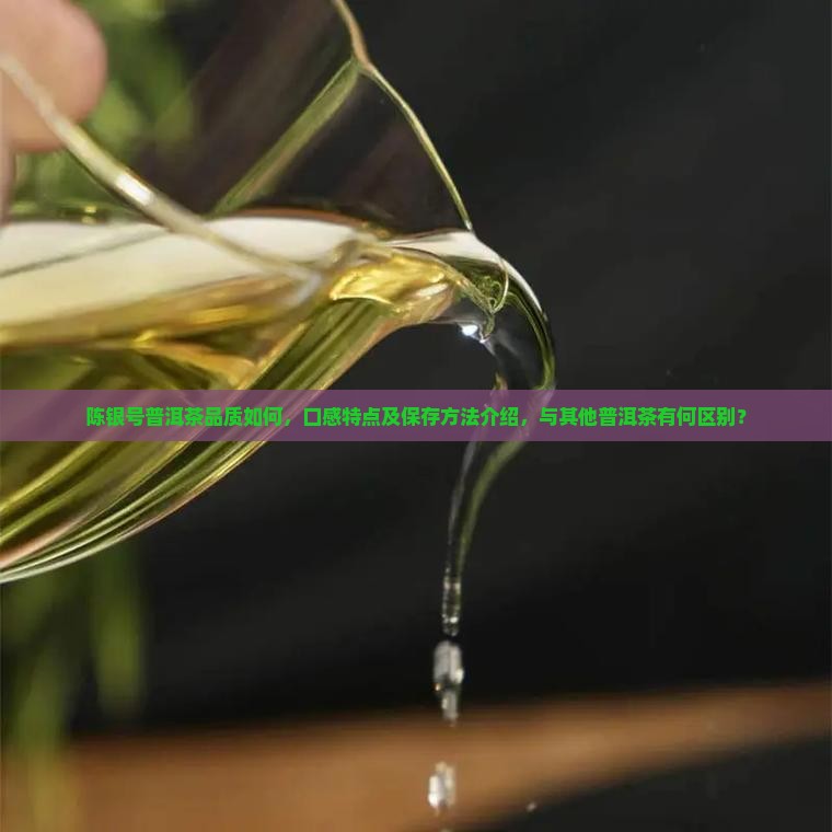 陈银号普洱茶品质如何，口感特点及保存方法介绍，与其他普洱茶有何区别？