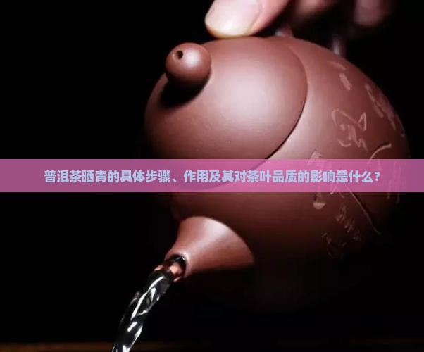 普洱茶晒青的具体步骤、作用及其对茶叶品质的影响是什么？