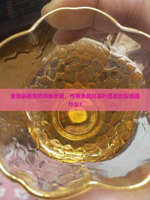 普洱茶晒青的具体步骤、作用及其对茶叶品质的影响是什么？