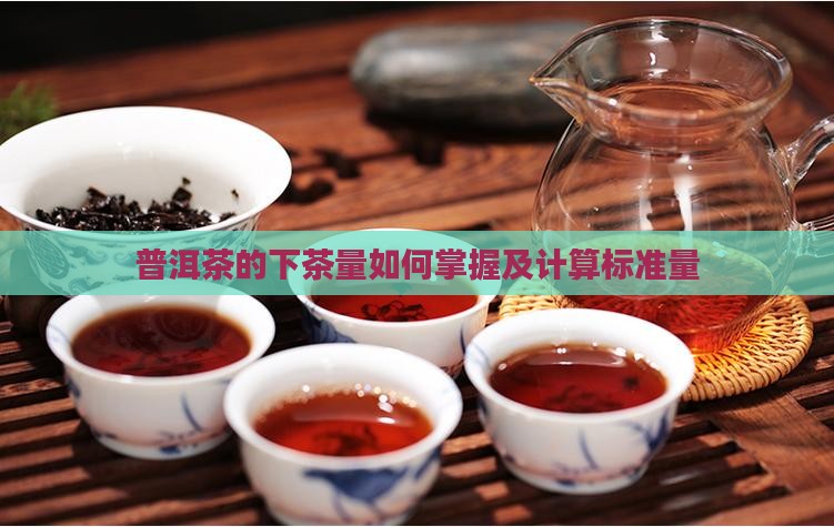 普洱茶的下茶量如何掌握及计算标准量