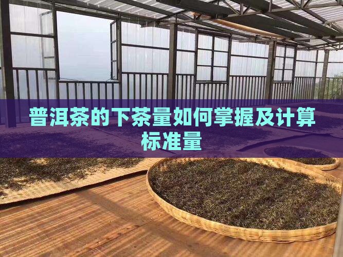 普洱茶的下茶量如何掌握及计算标准量
