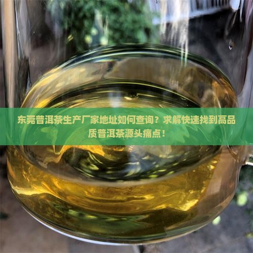 东莞普洱茶生产厂家地址如何查询？求解快速找到高品质普洱茶源头痛点！