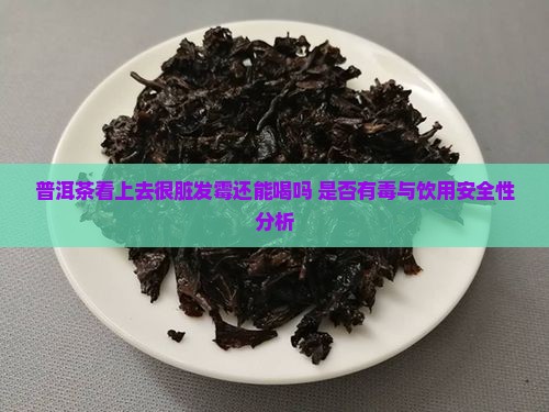 普洱茶看上去很脏发霉还能喝吗 是否有毒与饮用安全性分析