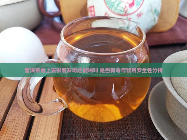 普洱茶看上去很脏发霉还能喝吗 是否有毒与饮用安全性分析