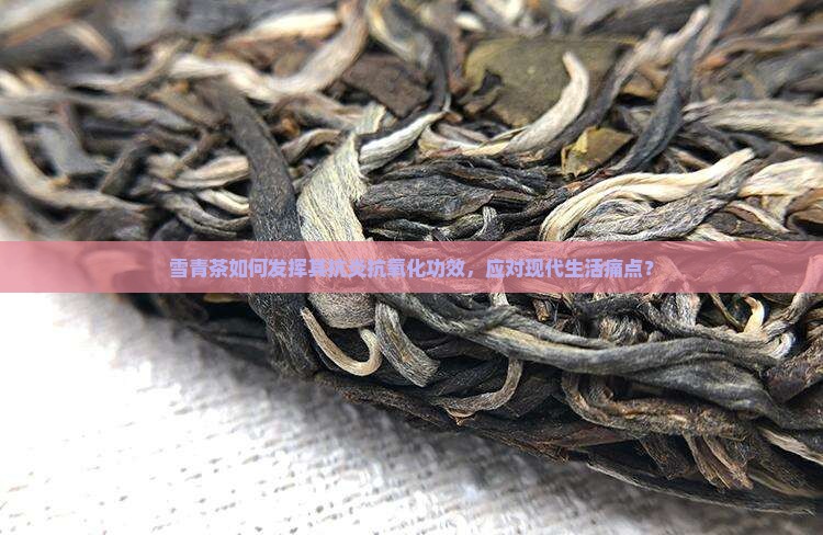 雪青茶如何发挥其抗炎抗氧化功效，应对现代生活痛点？