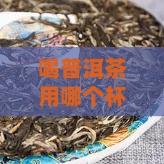 喝普洱茶用哪个杯型好：探究品饮杯型选择
