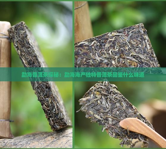 勐海普洱茶探秘：勐海海产独特普洱茶品鉴什么味道