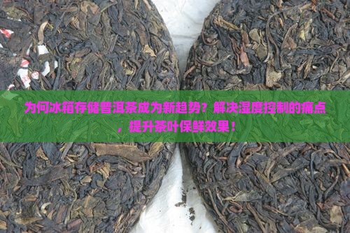 为何冰箱存储普洱茶成为新趋势？解决湿度控制的痛点，提升茶叶保鲜效果！