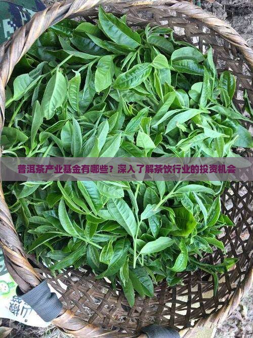 普洱茶产业基金有哪些？深入了解茶饮行业的投资机会