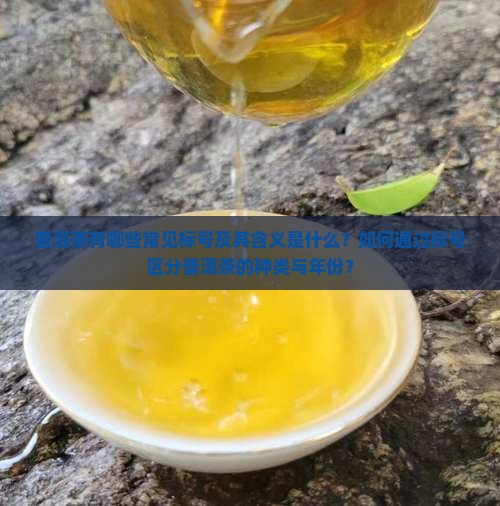 普洱茶有哪些常见标号及其含义是什么？如何通过标号区分普洱茶的种类与年份？