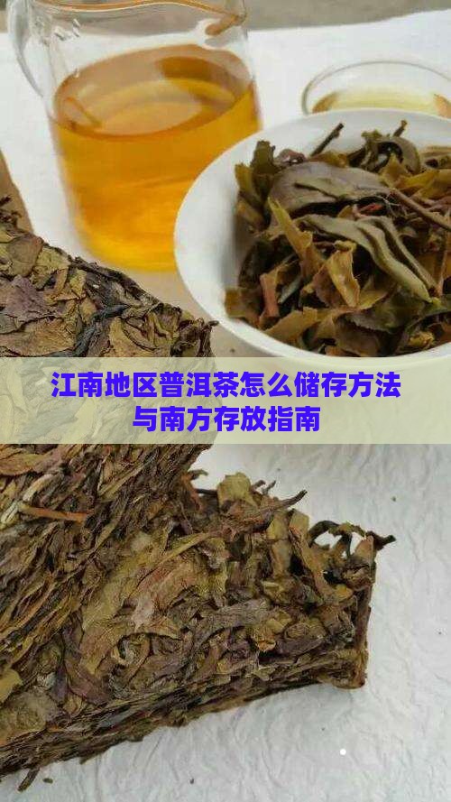 江南地区普洱茶怎么储存方法与南方存放指南