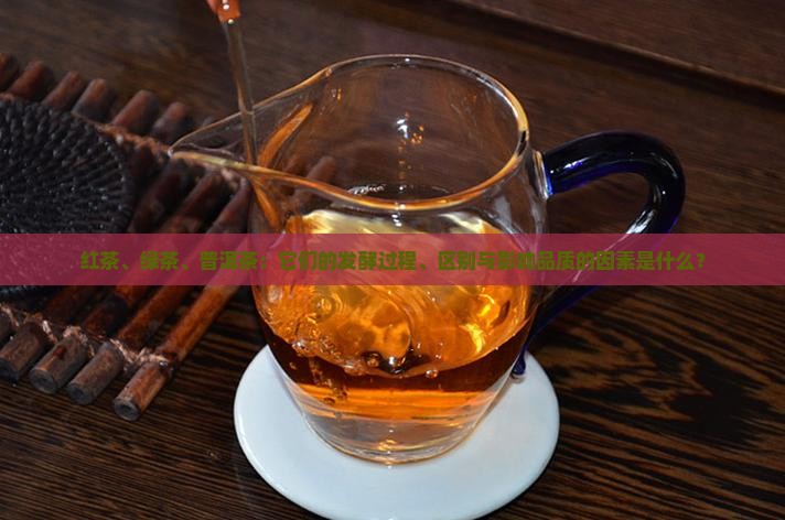 红茶、绿茶、普洱茶：它们的发酵过程、区别与影响品质的因素是什么？
