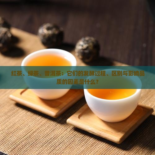 红茶、绿茶、普洱茶：它们的发酵过程、区别与影响品质的因素是什么？