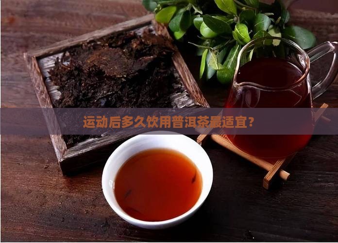 运动后多久饮用普洱茶最适宜？