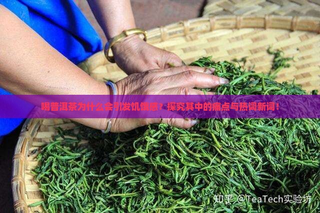 喝普洱茶为什么会引发饥饿感？探究其中的痛点与热词新词！