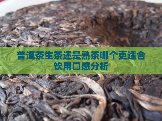 普洱茶生茶还是熟茶哪个更适合饮用口感分析