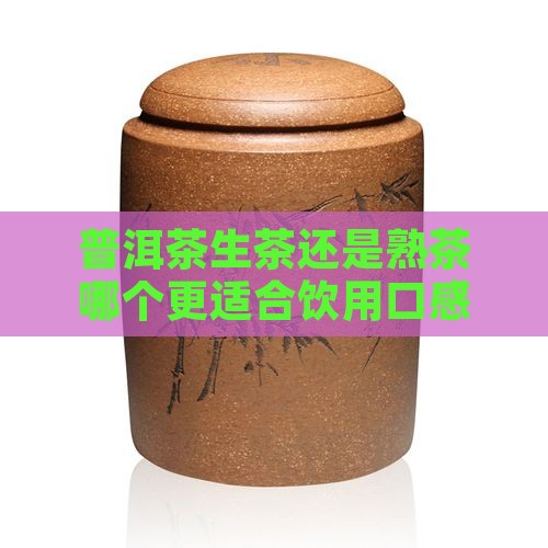 普洱茶生茶还是熟茶哪个更适合饮用口感分析