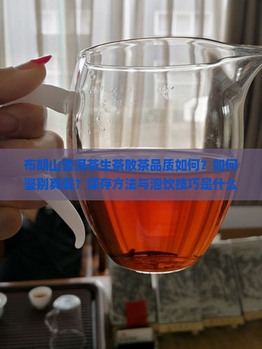 布朗山普洱茶生茶散茶品质如何？如何鉴别真假？保存方法与泡饮技巧是什么？