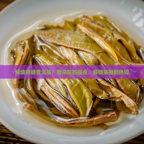 秘境樟朗普洱茶？老茶友的痛点，解锁茶圈新热词