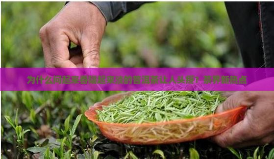为什么问起来香隔起来淡的普洱茶让人头疼？茶界新热点