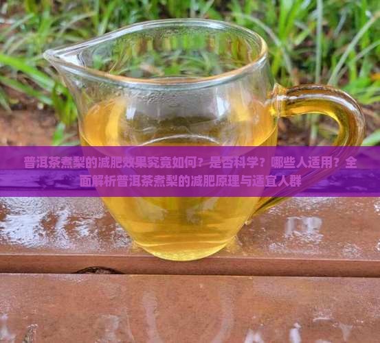 普洱茶煮梨的减肥效果究竟如何？是否科学？哪些人适用？全面解析普洱茶煮梨的减肥原理与适宜人群