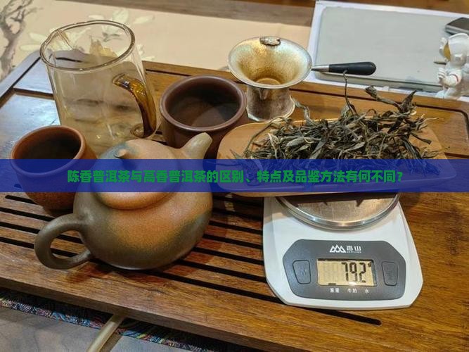 陈香普洱茶与高香普洱茶的区别、特点及品鉴方法有何不同？