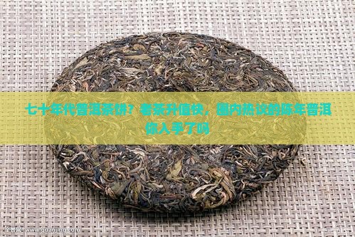 七十年代普洱茶饼？老茶升值快，圈内热议的陈年普洱你入手了吗