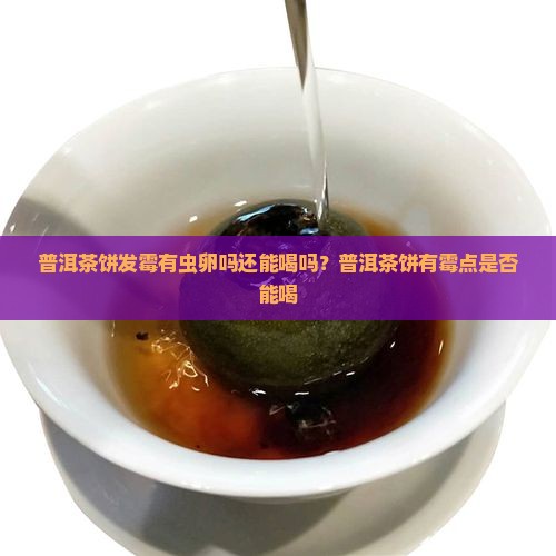 普洱茶饼发霉有虫卵吗还能喝吗？普洱茶饼有霉点是否能喝