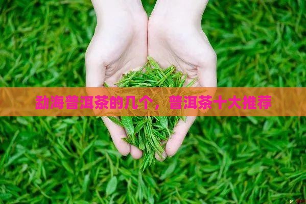勐海普洱茶的几个，普洱茶十大推荐