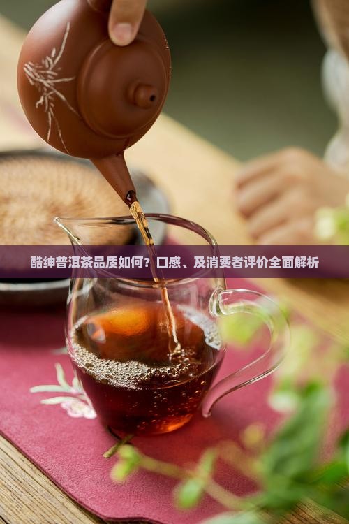 酷绅普洱茶品质如何？口感、及消费者评价全面解析