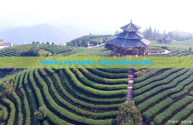 普洱茶陈正义是中流砥柱吗？老茶企如何玩转数字化转型