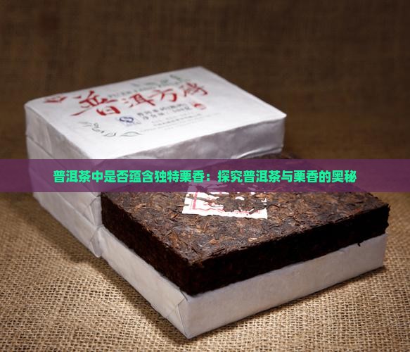 普洱茶中是否蕴含独特栗香：探究普洱茶与栗香的奥秘