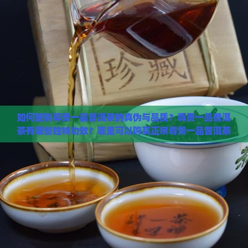 如何鉴别尊贵一品普洱茶的真伪与品质？尊贵一品普洱茶有哪些独特功效？哪里可以购买正宗尊贵一品普洱茶？